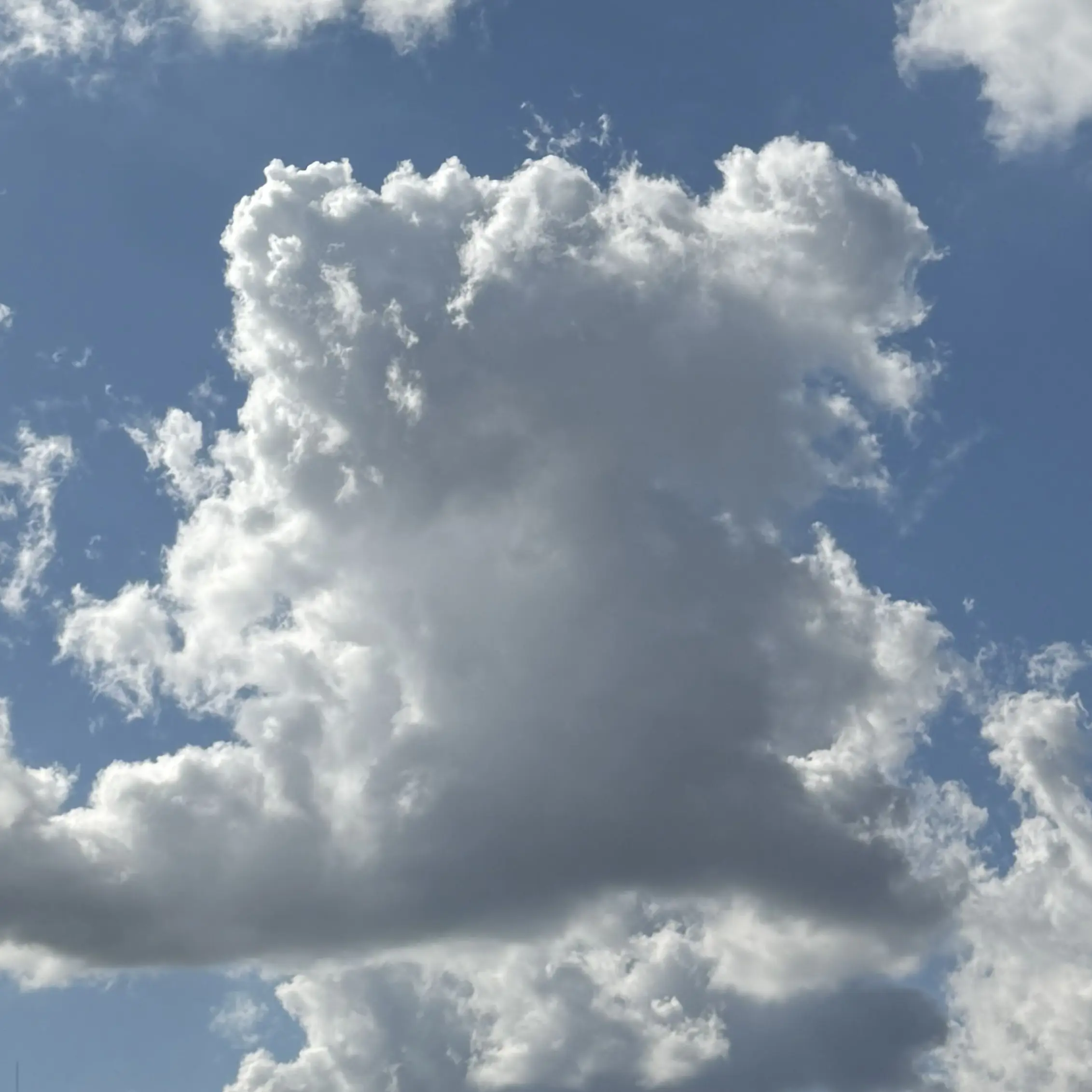 TriteGar2466의 디즈니 트위스티드 원더랜드(교사들)