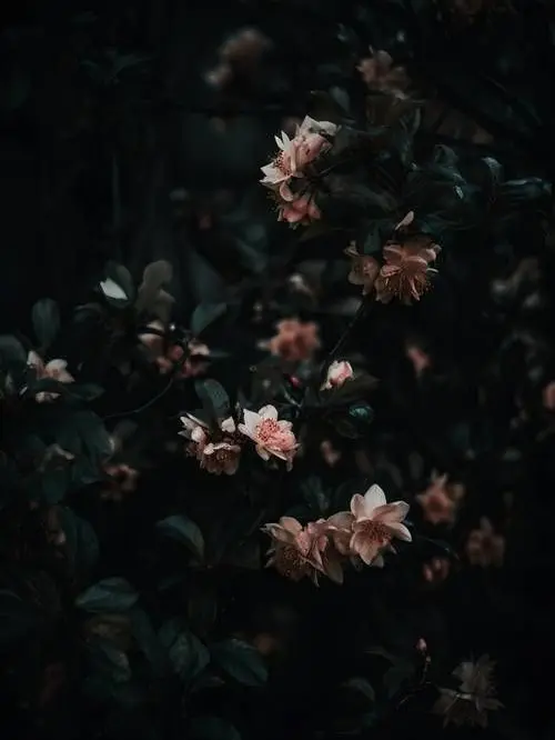 Tiered의 "시비 걸고 싶게 생겨 놓고 ×랄."