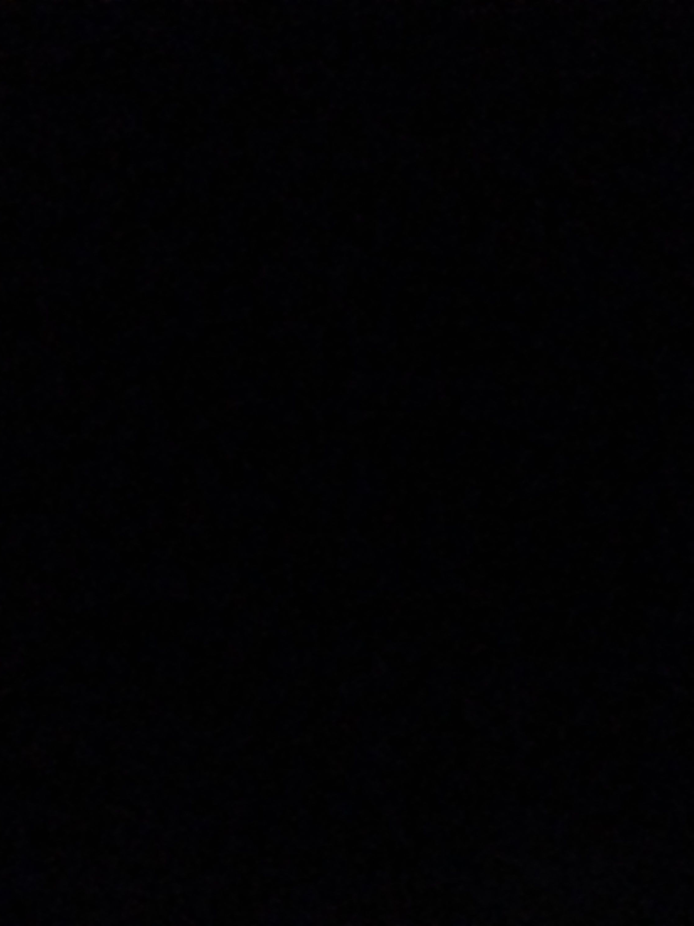 갠용임 오지마셈;;아니 왜 들어온겨; 대표 이미지