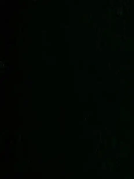 Ttgksehdaln의 TS