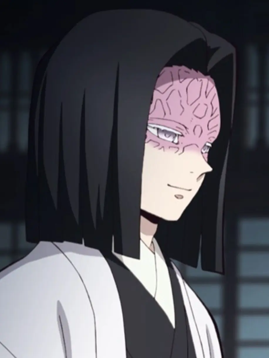 RaspyRadio6874의 혈귀랑 싸우다가...벽에 끼어버렸다