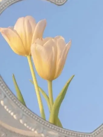 starIloveyou의 ...각경위님이 숏컷이요???