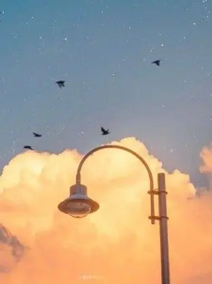 Leonardopaybackyourdebt의 팀나빠 초능력 조직