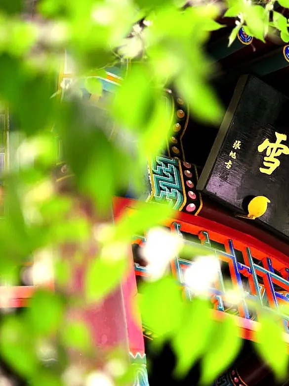 wowomg의 당신만의 작은 신.