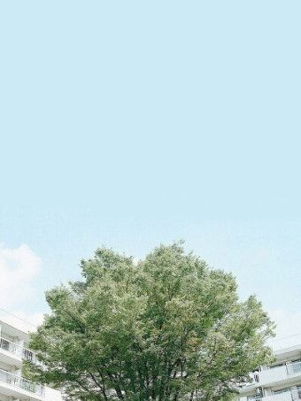 여름이었다. 대표 이미지