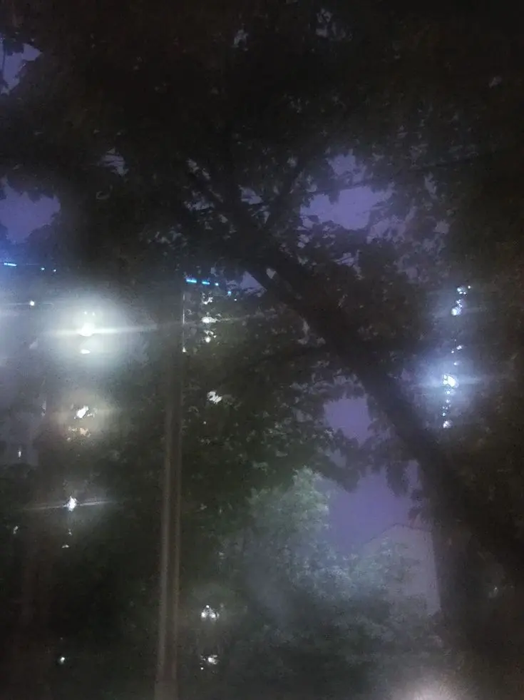 Hina8113의 잔혹한 천사의 테제 ,