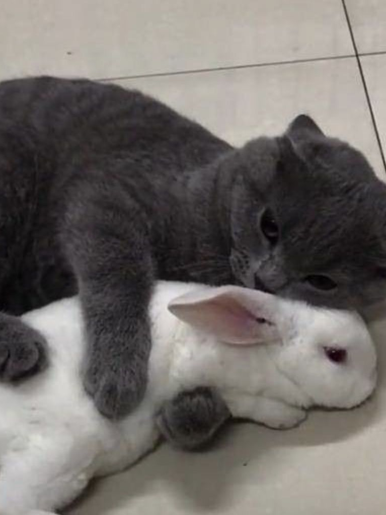 레온 S. 케네디 대표 이미지