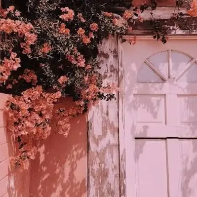 BusyBus9446의 "이세계 최강자라 미움 받습니다."