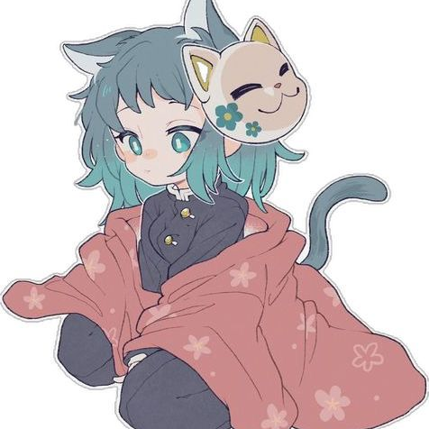 고양이 마코모 대표 이미지