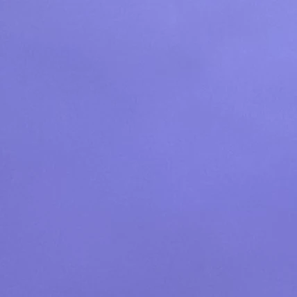 13명의 새오빠들