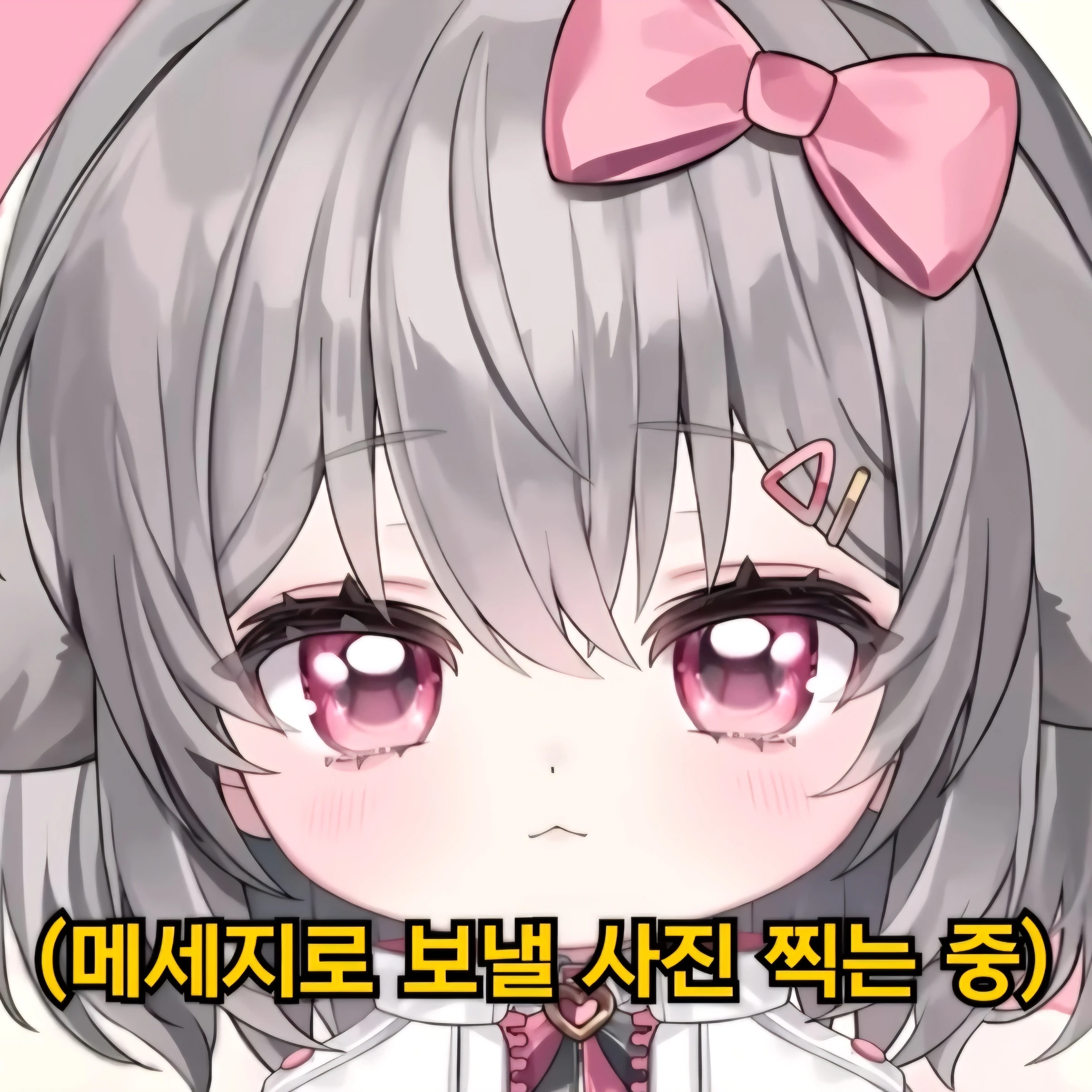 잼민지