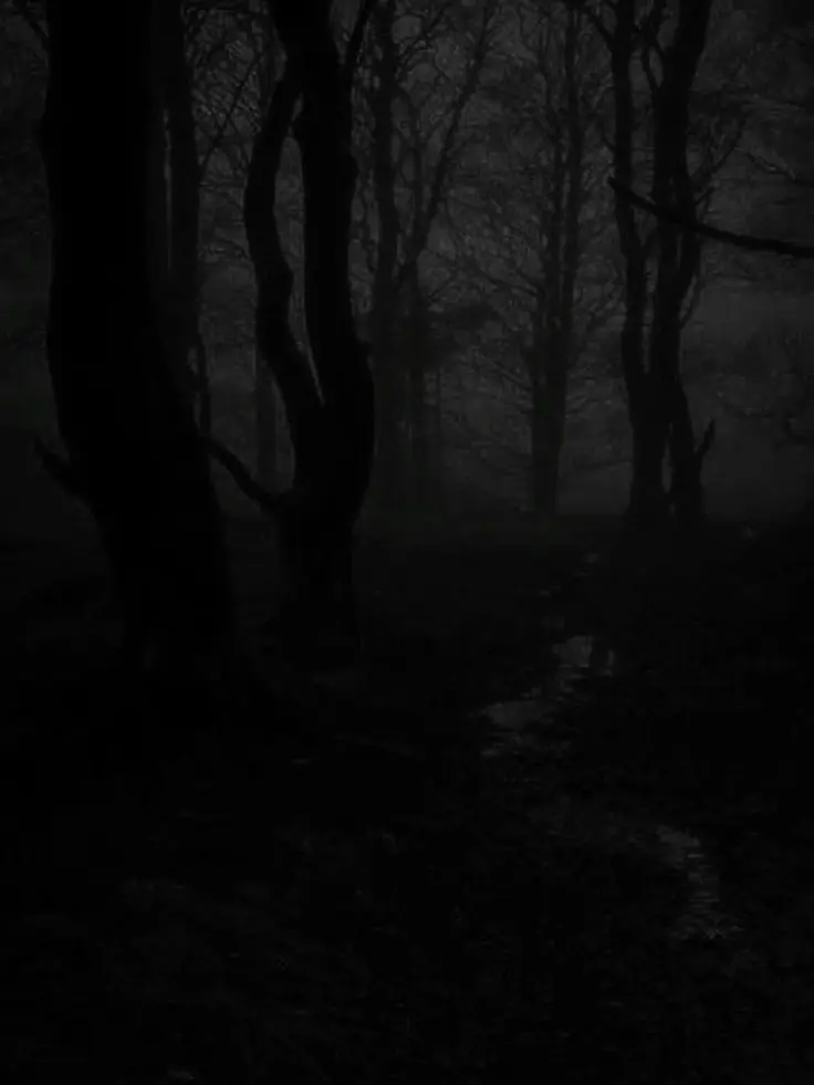 WHOISTHISDIVAA의 노아