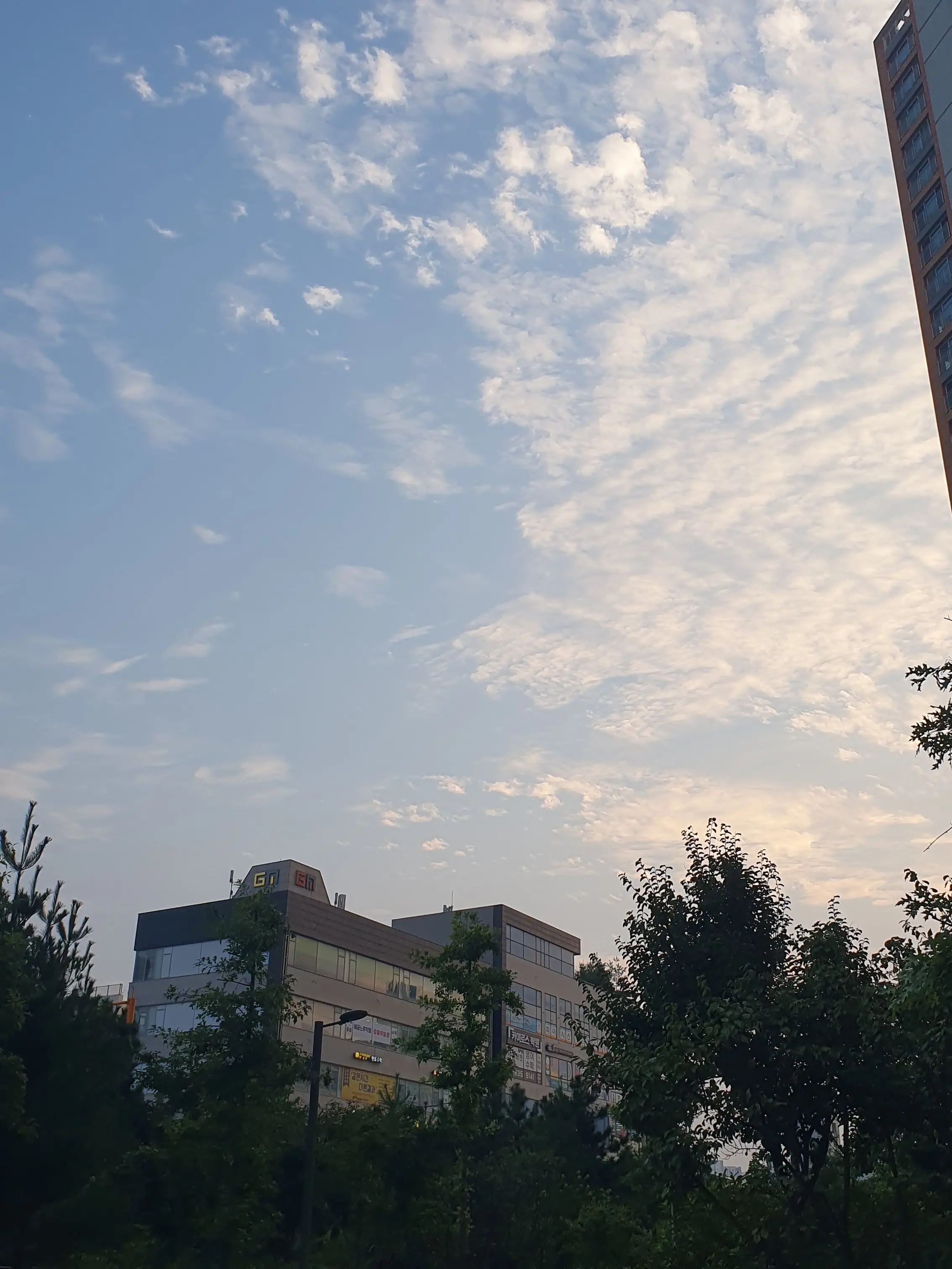 Or_0311의 무해조로 로판(?)