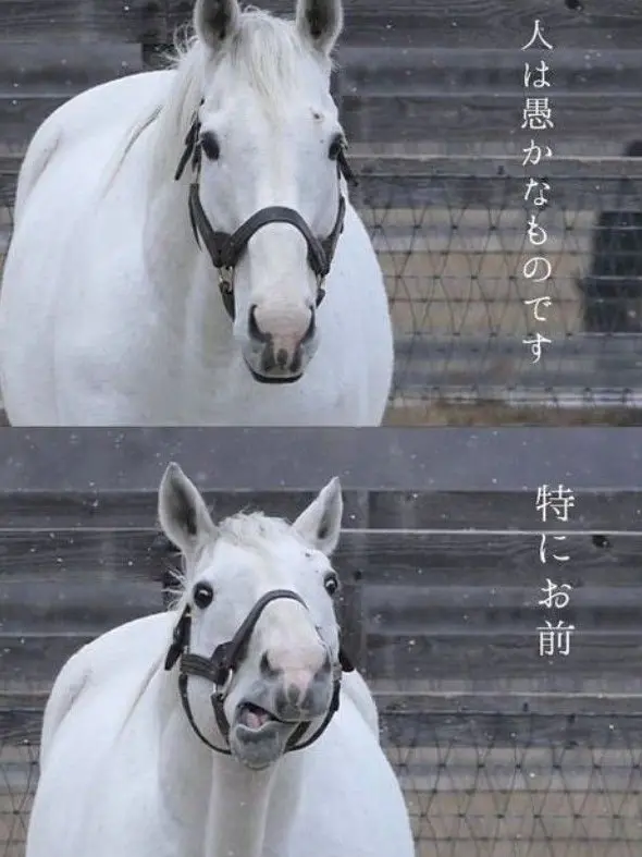 VagueElbow0193의 先輩、なんで僕にだけ優しいの！？