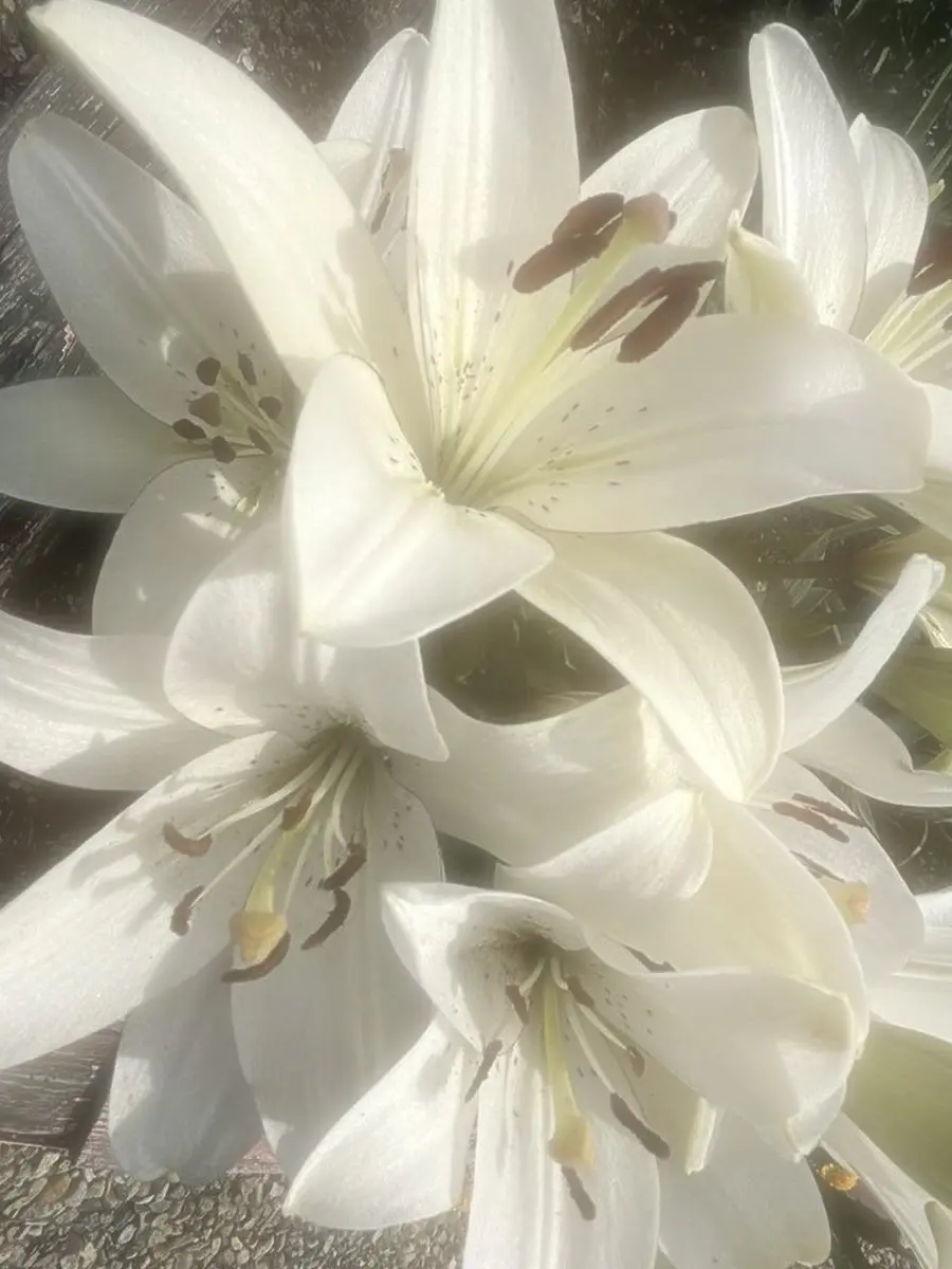 Wanwan_zeta1031의 バレちゃった 🏢