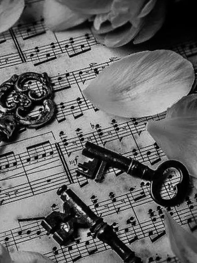 owoLove의 ..어드민들 믿지마.