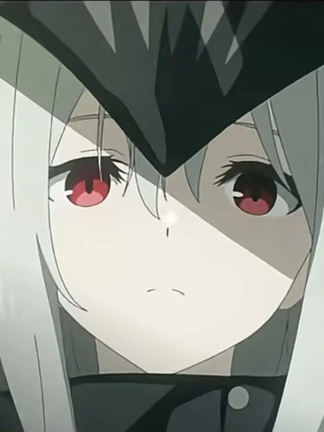 NimbleDesk5335의 私用