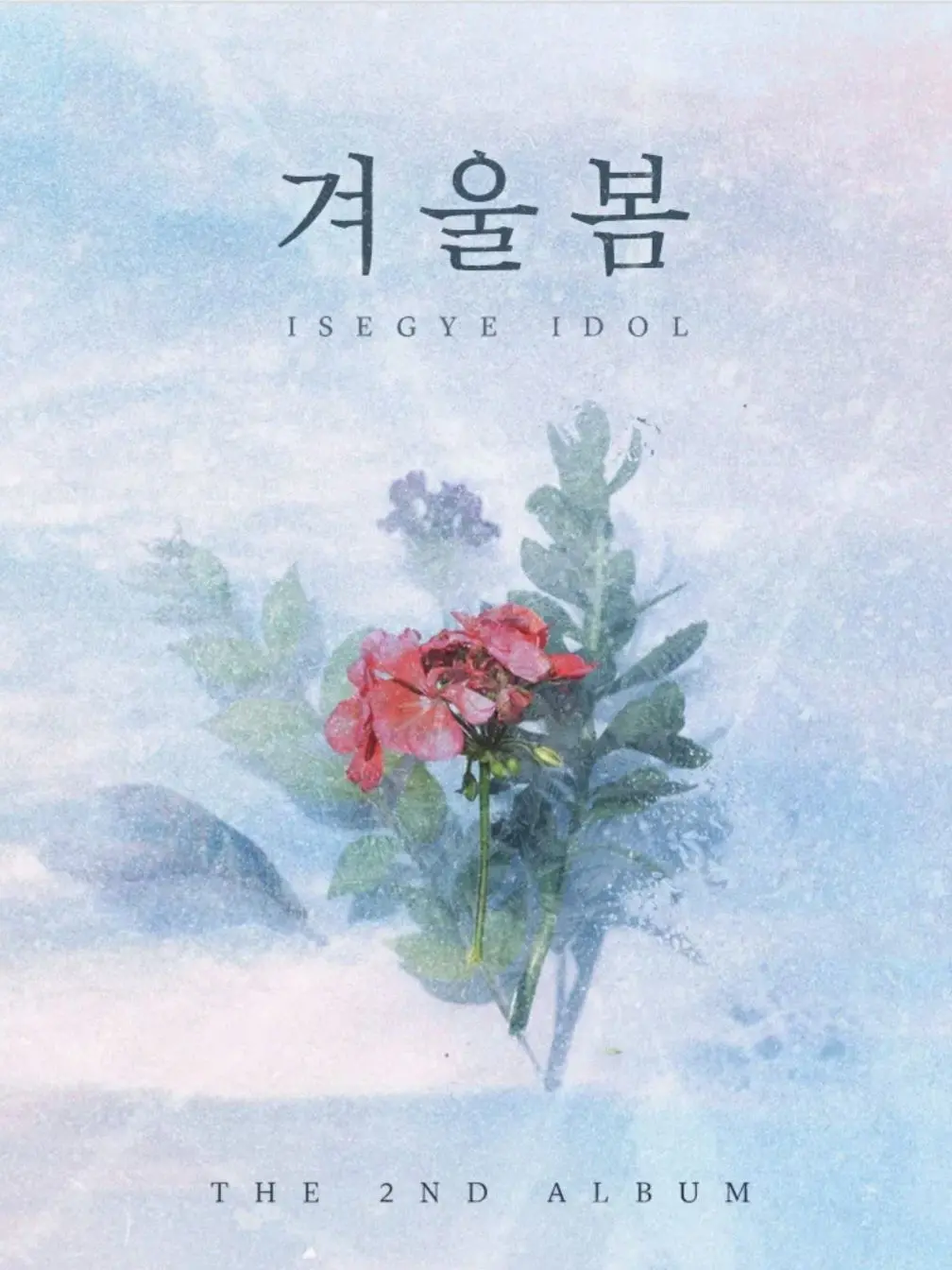 Meheahea의 겨울봄