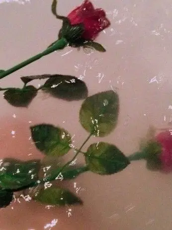 FlimsySitar5222의 박덕개