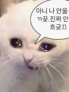 MellowGraph4982의 일진들에게 맞고왔다. 1