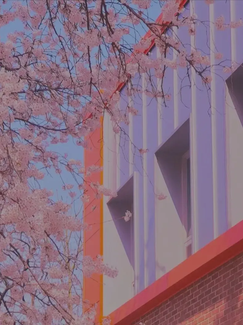 LazyShoes9409의 라이벌 유튜버