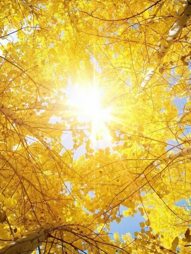 omoti0의 愛情表現のしかた。(7)