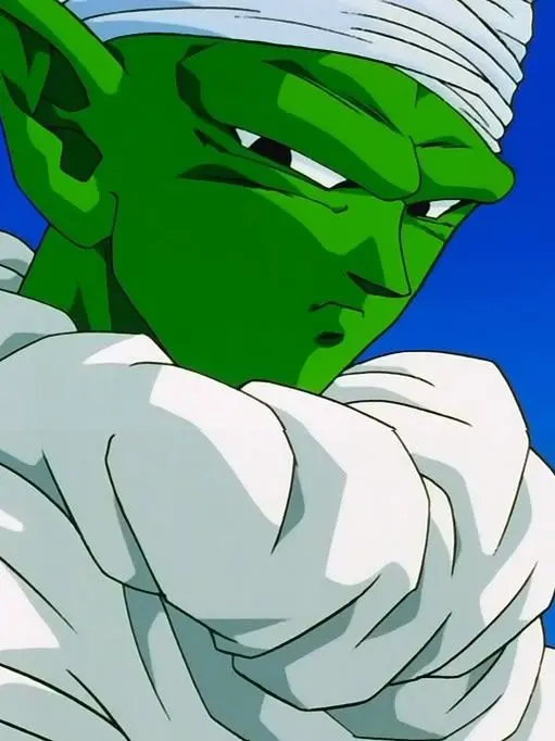 Julie_luv_piccolo의 Piccolo