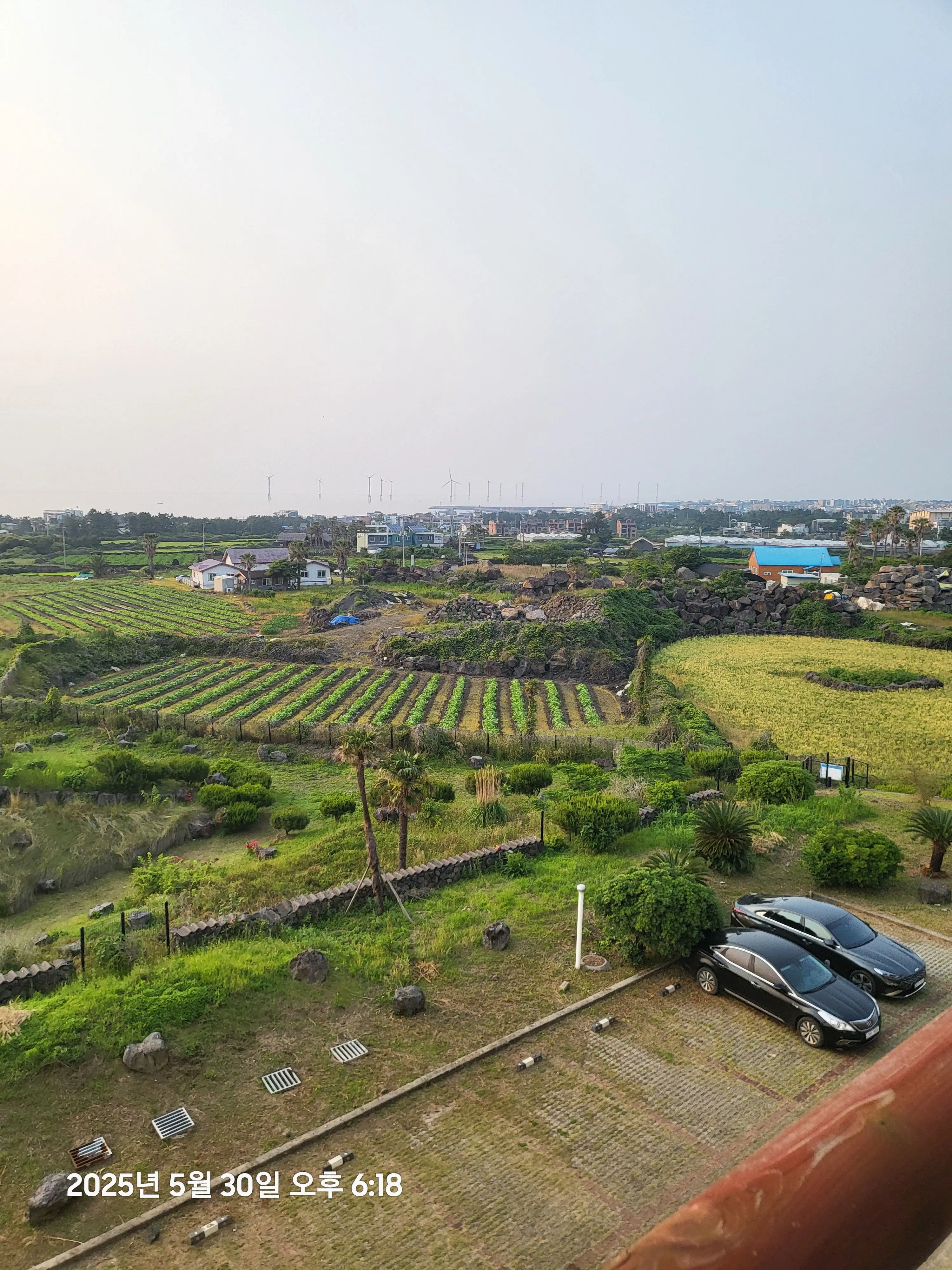 SassyPants0448의 초세여 (감기가 깃든...)