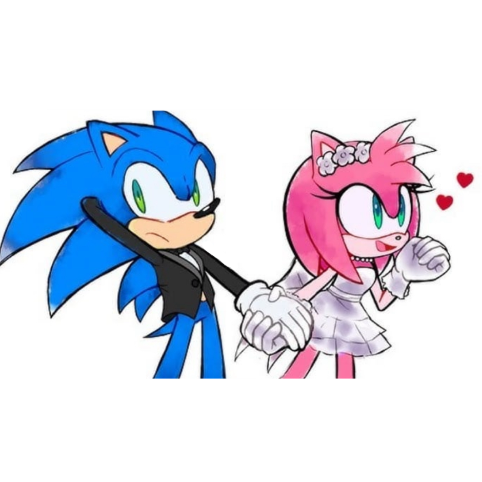 소닉 & 에이미 대표 이미지