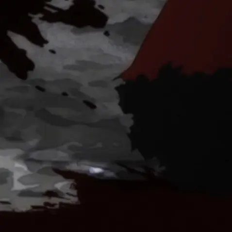 SassyOx7403의 もしもあのまま……