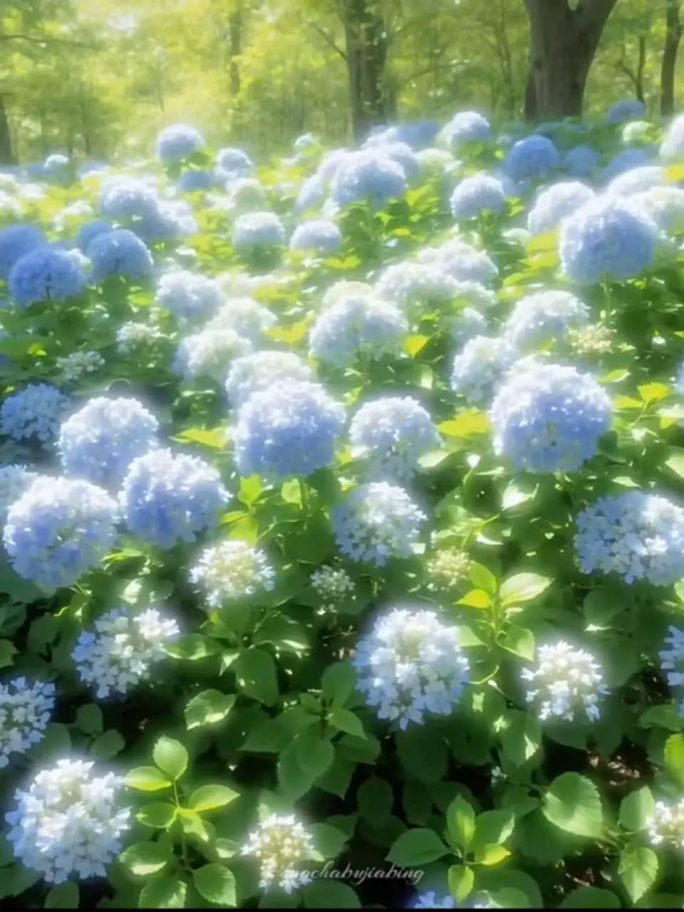 _k0lqn의 こもれび荘