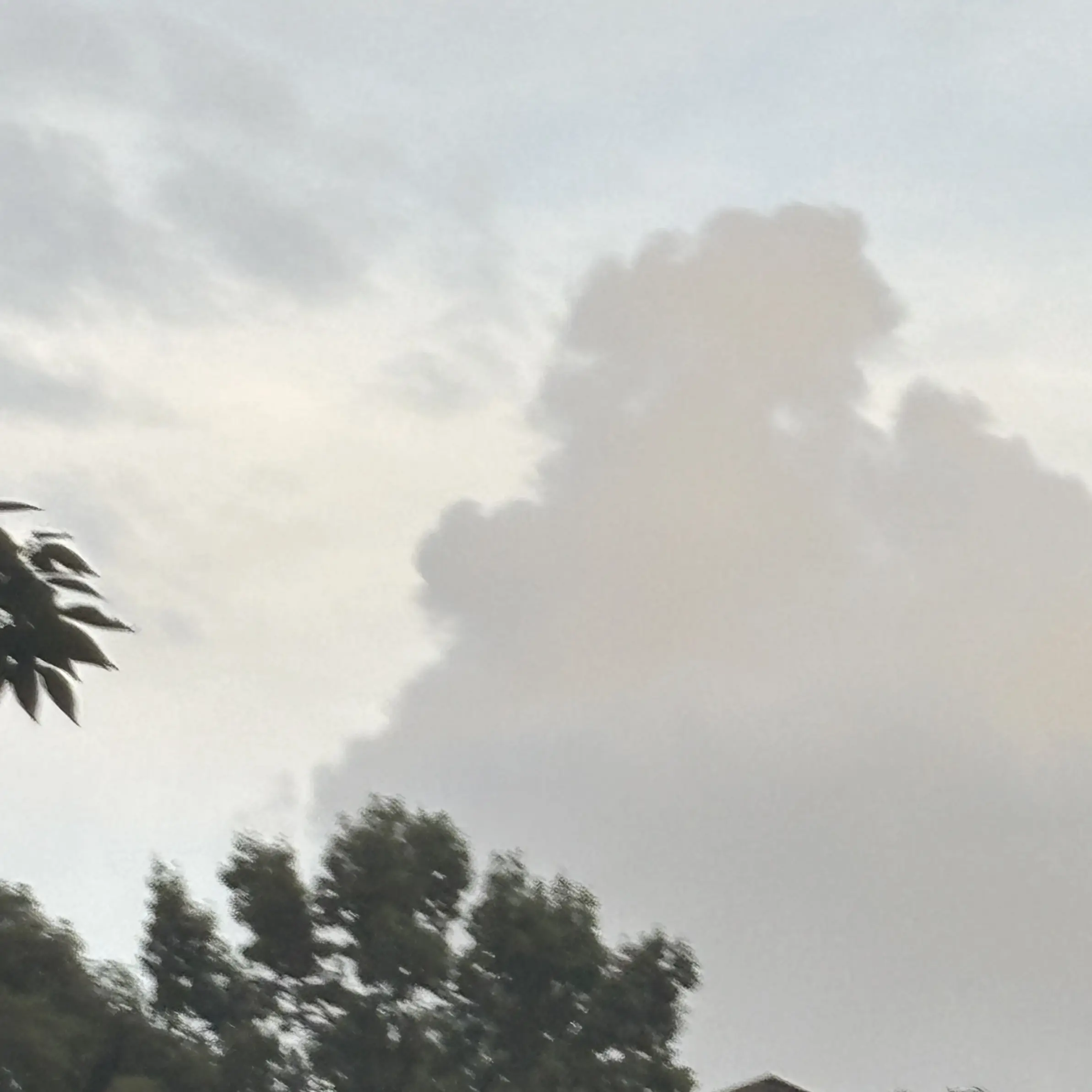 SlimyScarf8726의 Bamgyu