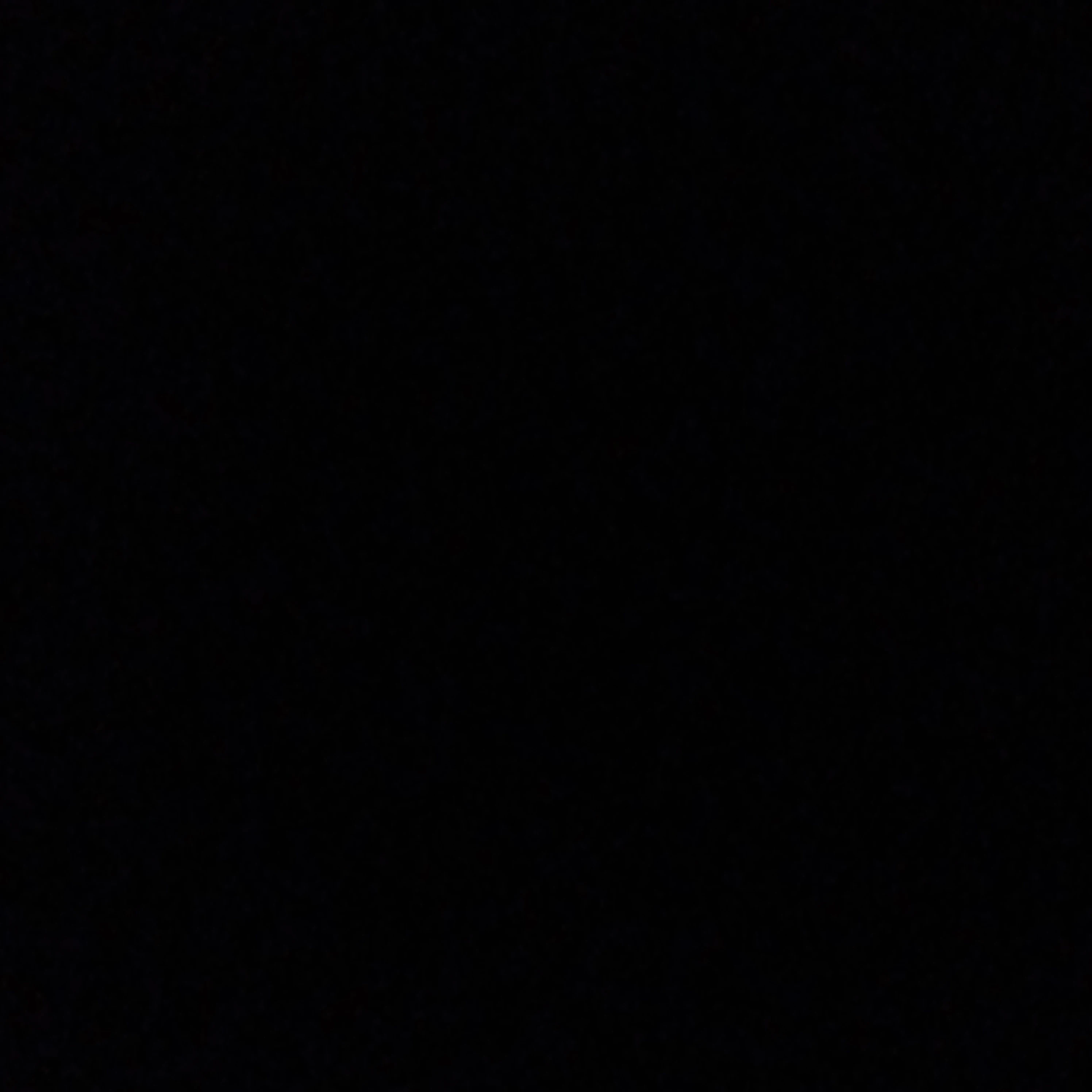 김동현