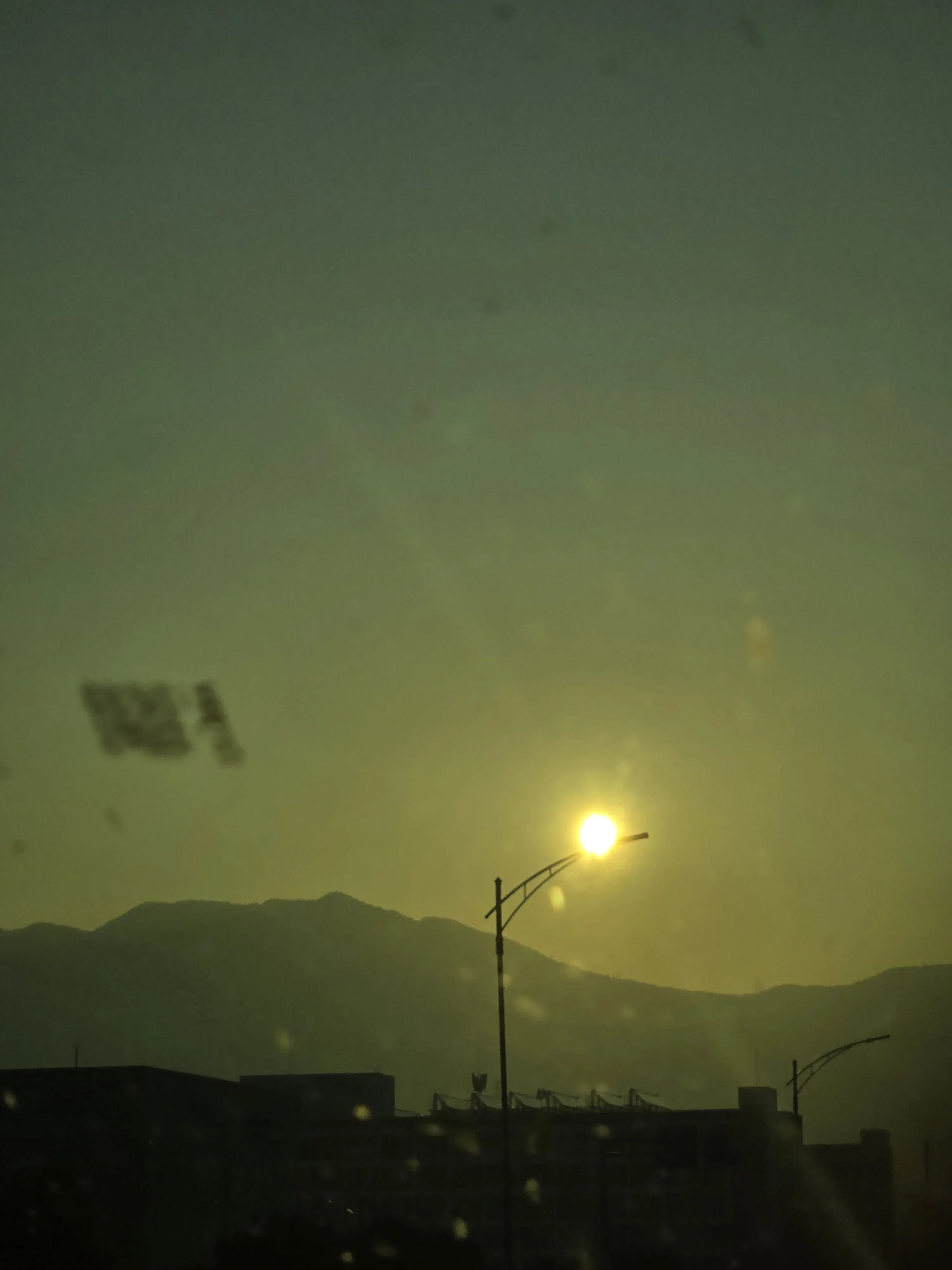 Shucho0826의 비스트&에이션트 고등학교&여우