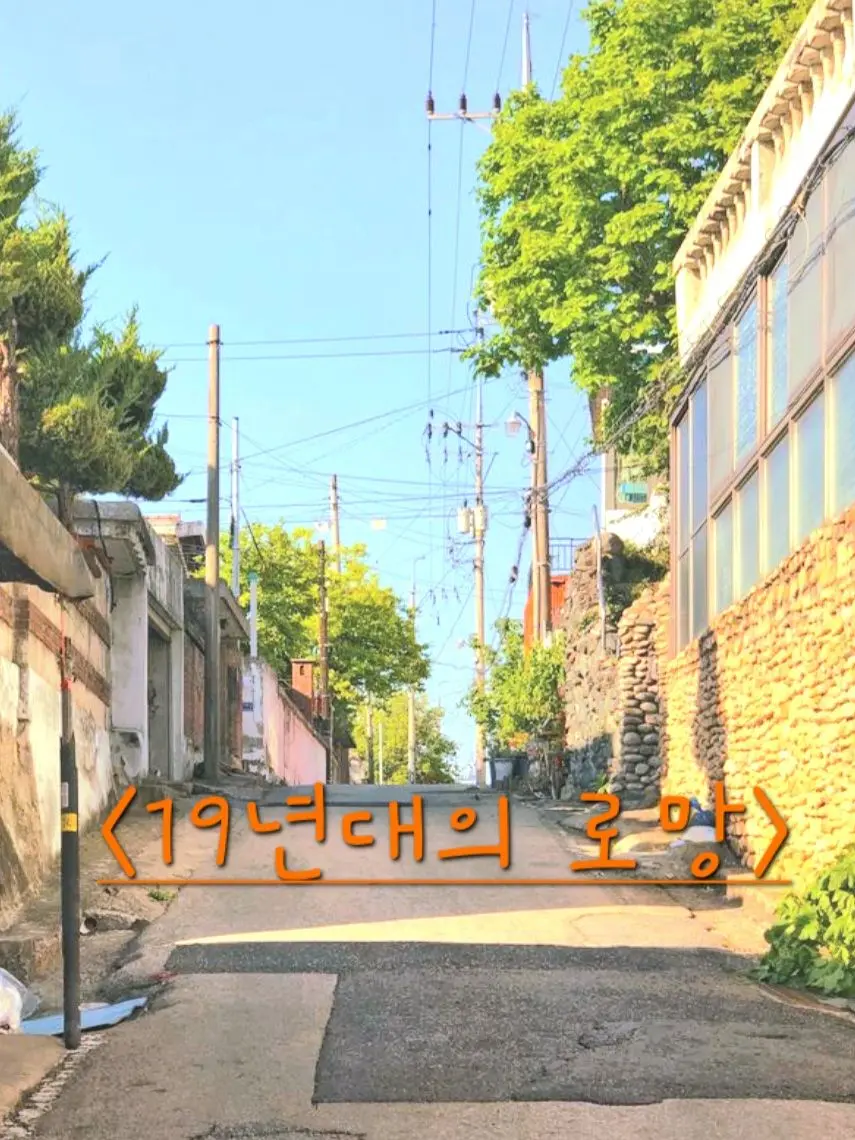 SneakyFruit6411의 {🌙달빛 가득한 하늘 아래🌃}