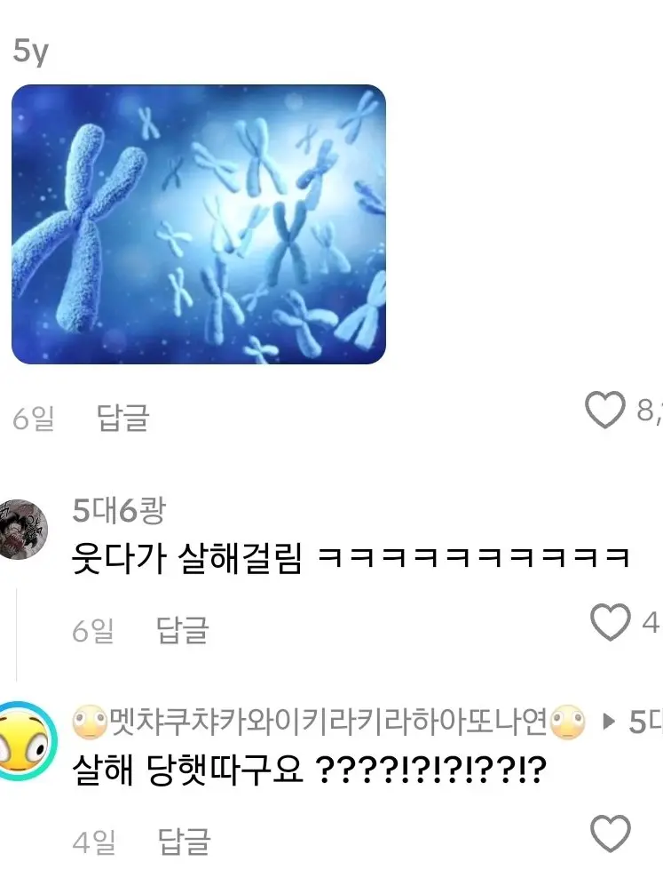 devil_EVAN의 여자애들이랑 학교+늑대