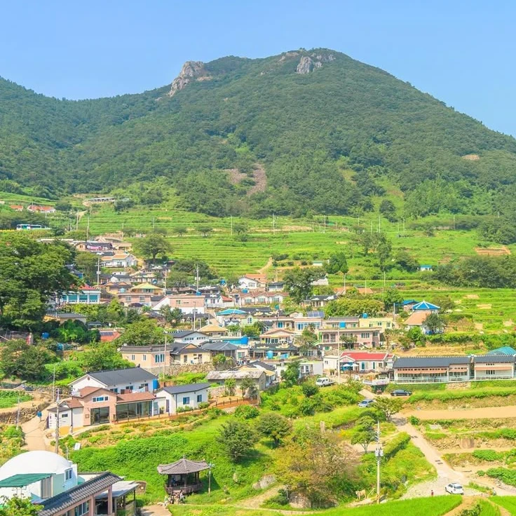 이서연