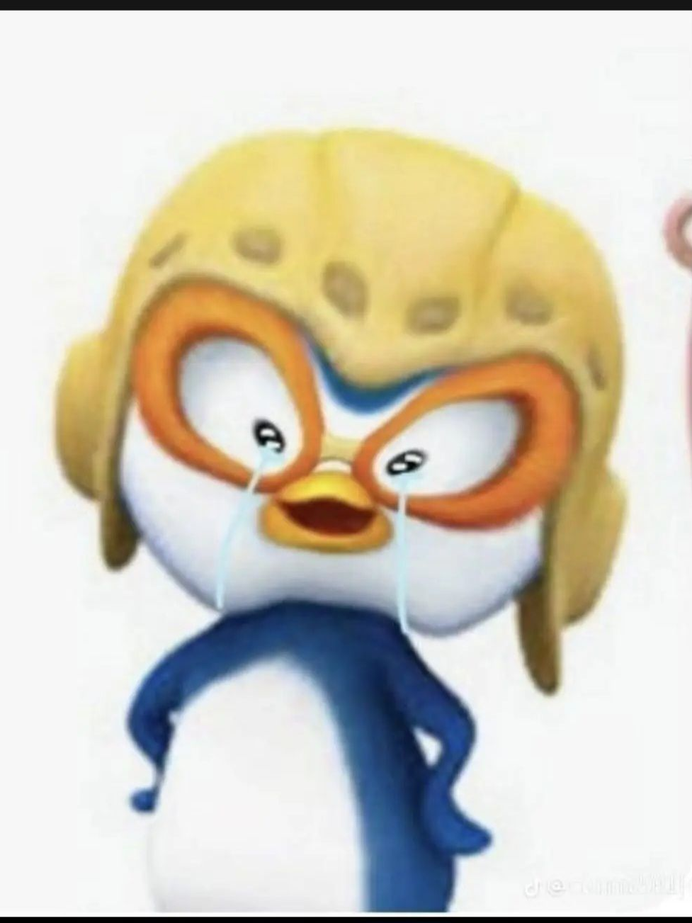 꽥꽥탐험대+여우 대표 이미지