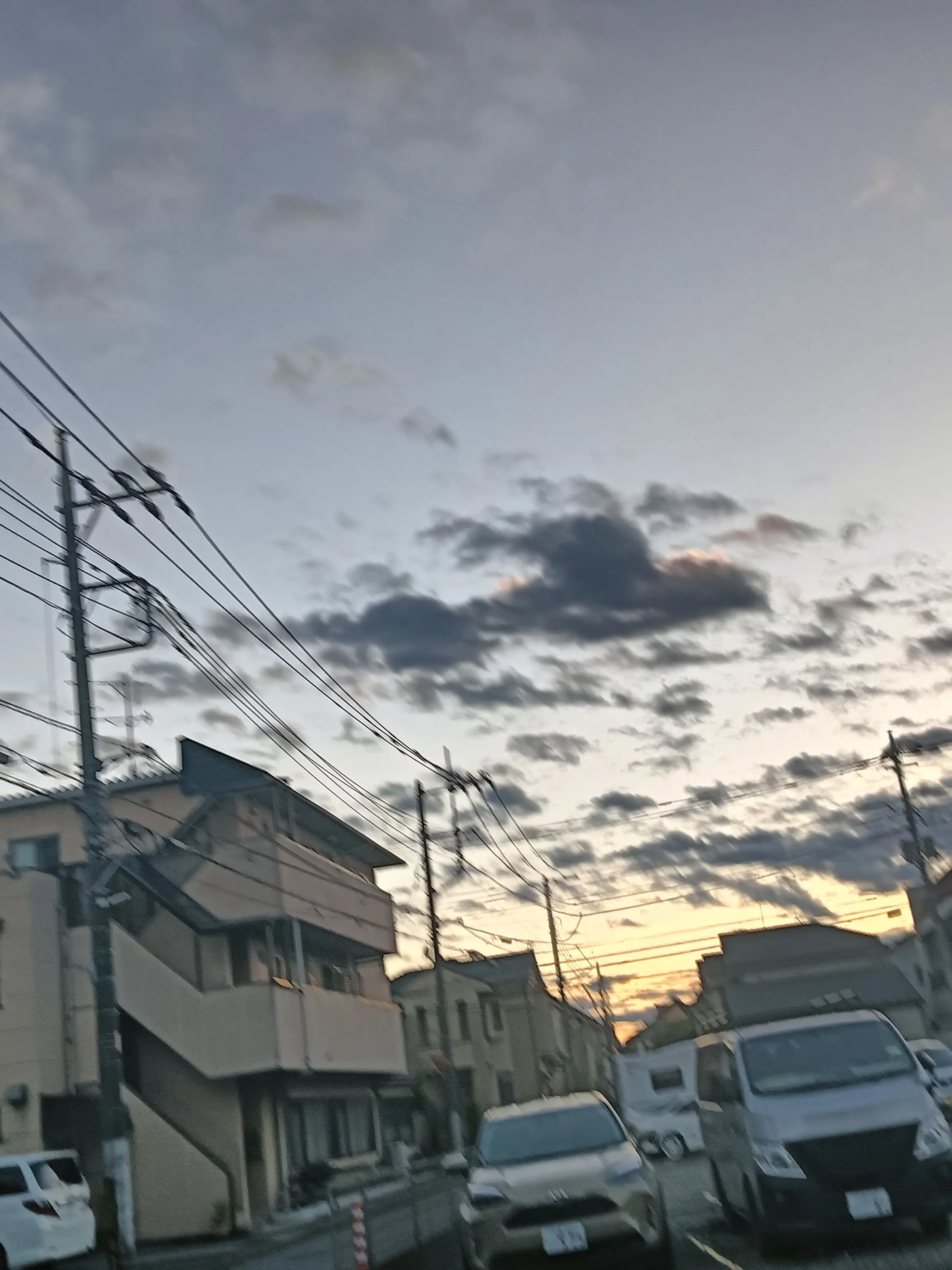 Sakana163의 みんなでホテル共同生活