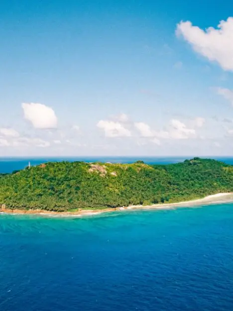 Tommy95706xn4a의 Survival island show