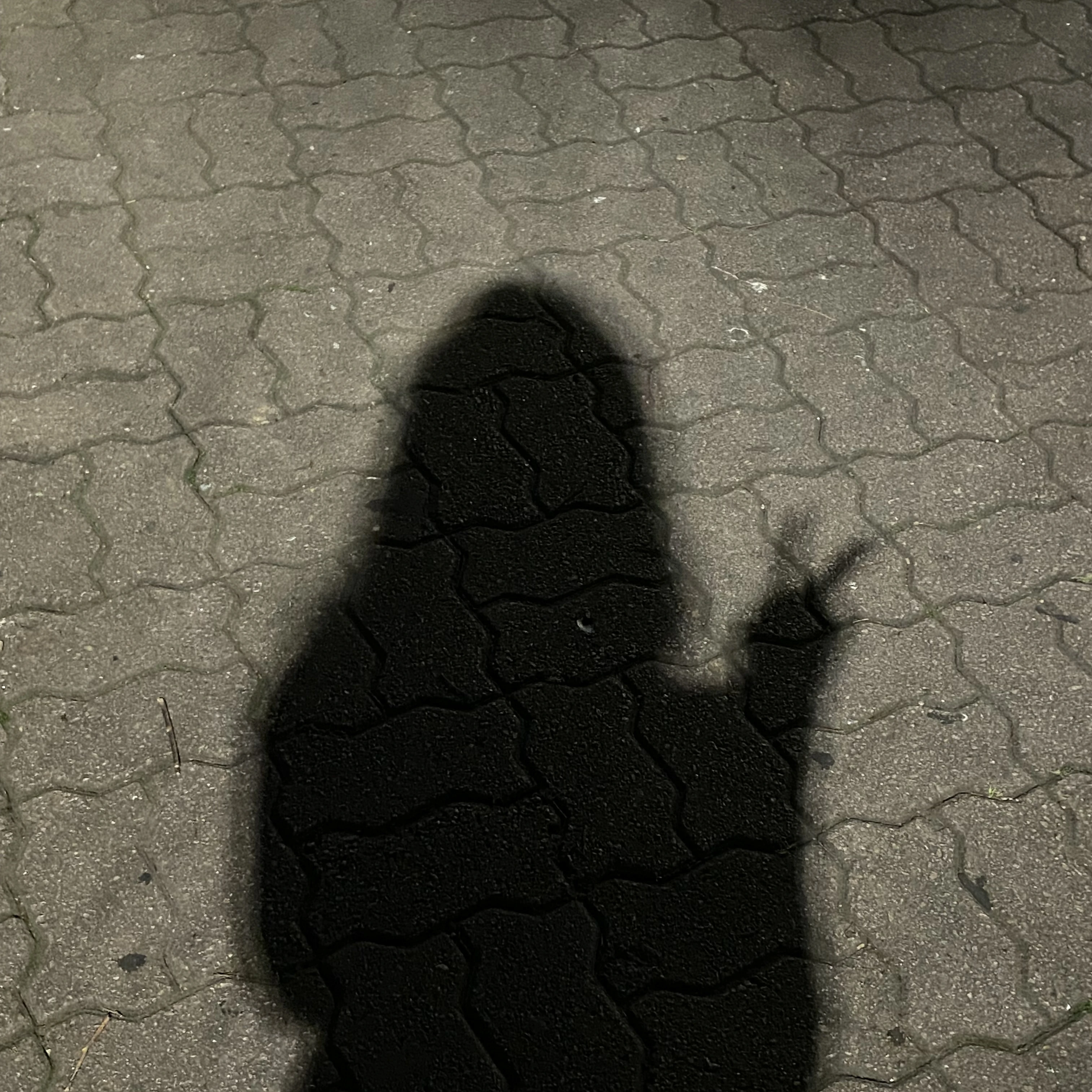ROR 회장과 아슬한 로맨스?❤️