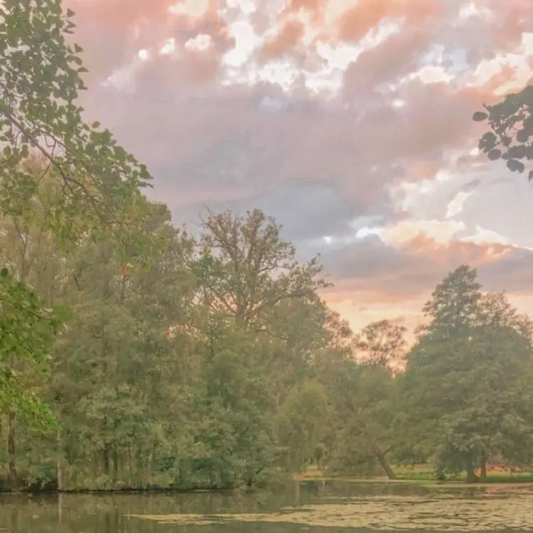 thewayout의 숲속의 담