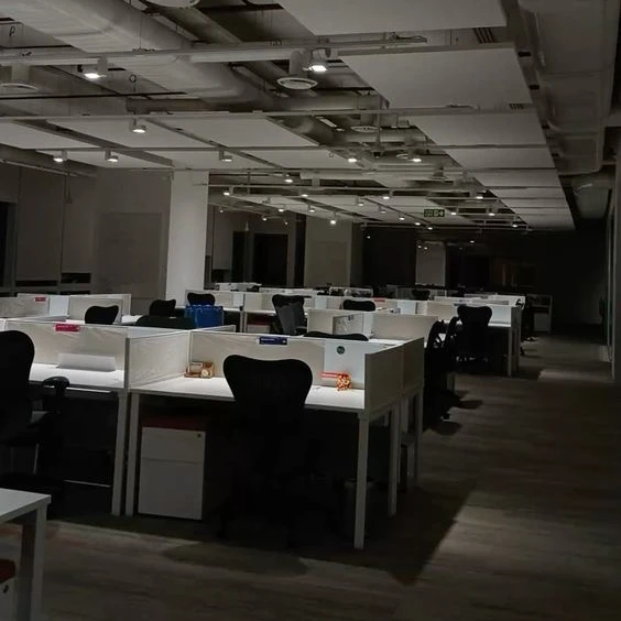 직장 내 괴롭힘