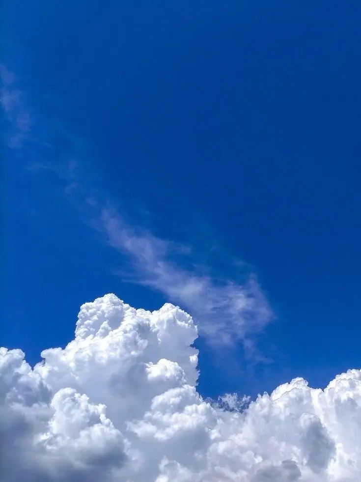 tarinrinka12164의 " 曔察의 임무? "