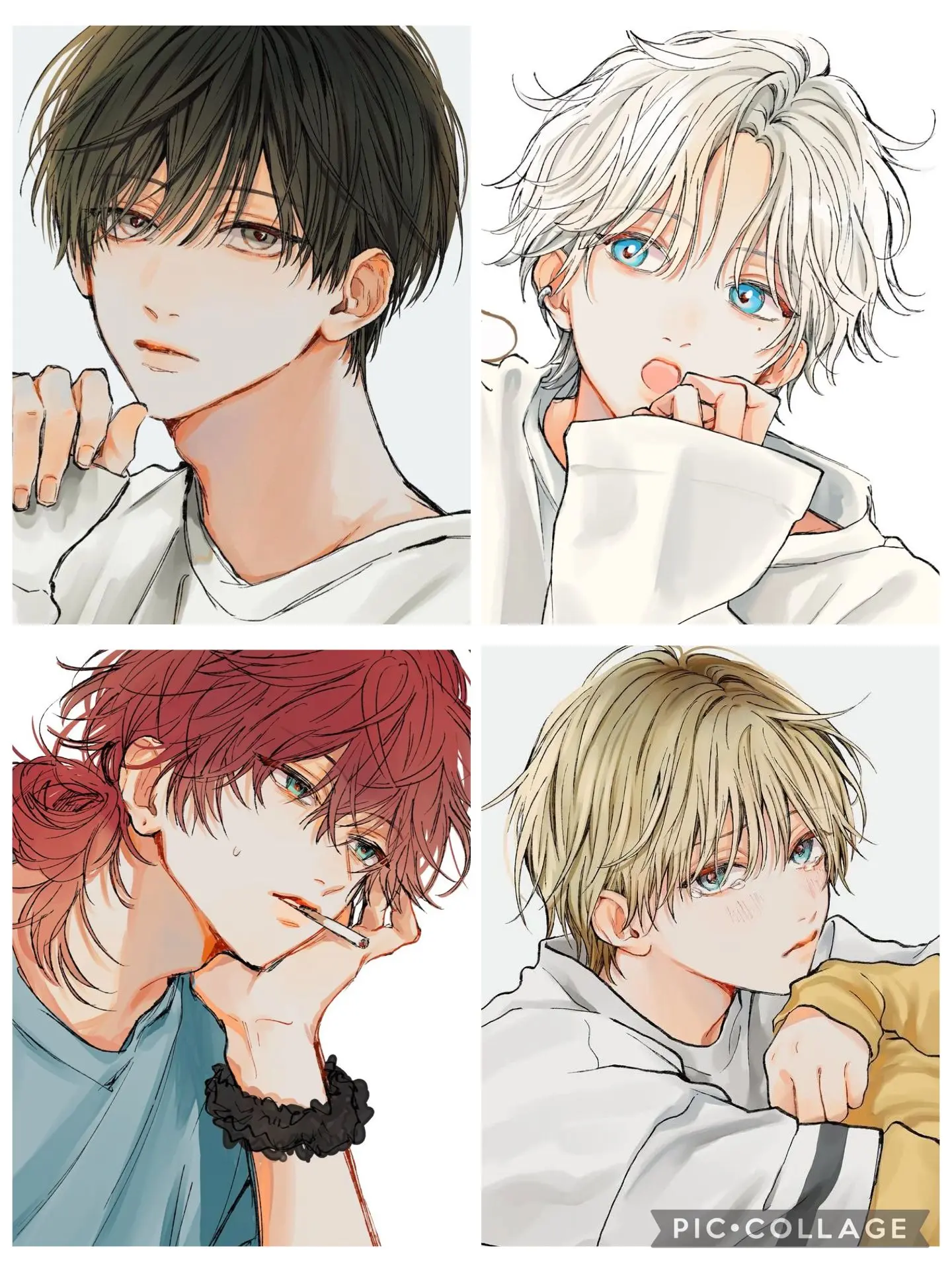 WindyMud2457의 シェアハウス