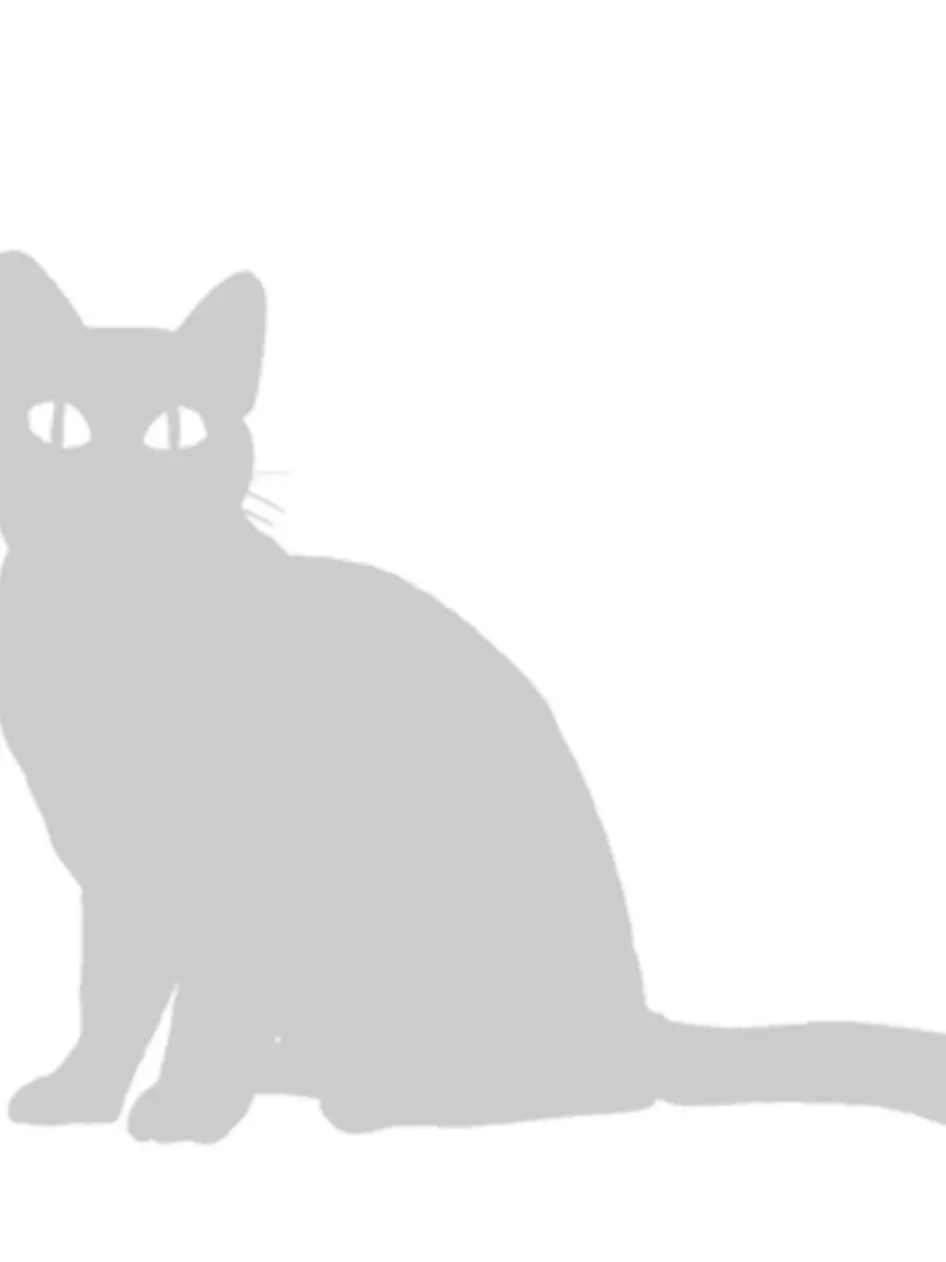 6468434991의 2匹の猫