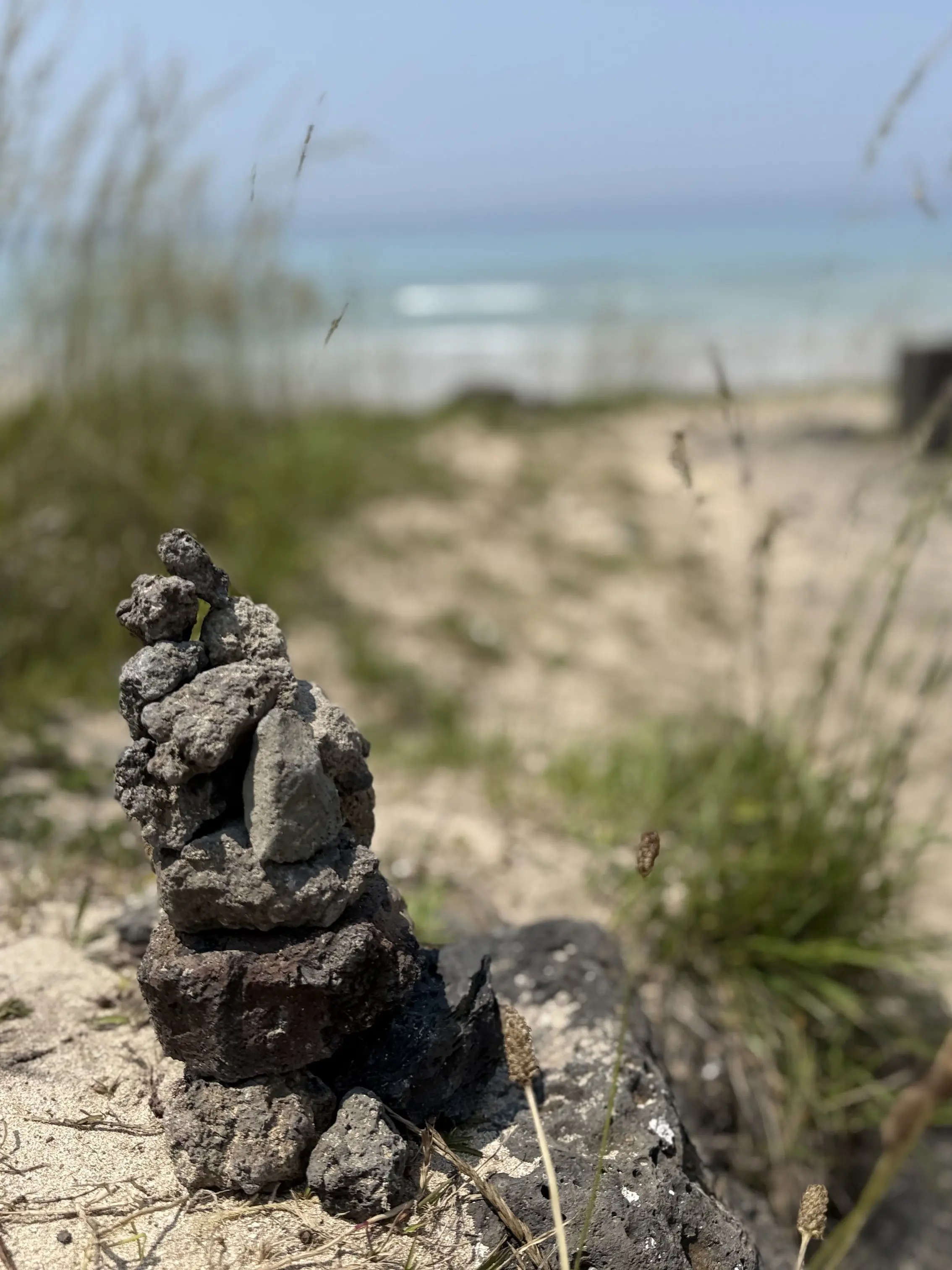 LivelyMedal3079의 잃어버린 나의 동생