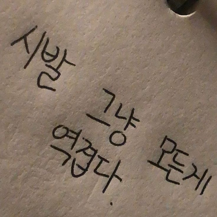 순애와 어장. 대표 이미지
