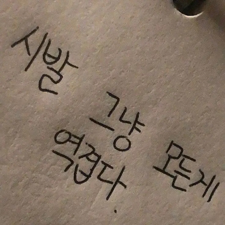 sewari.log의 순애와 어장.