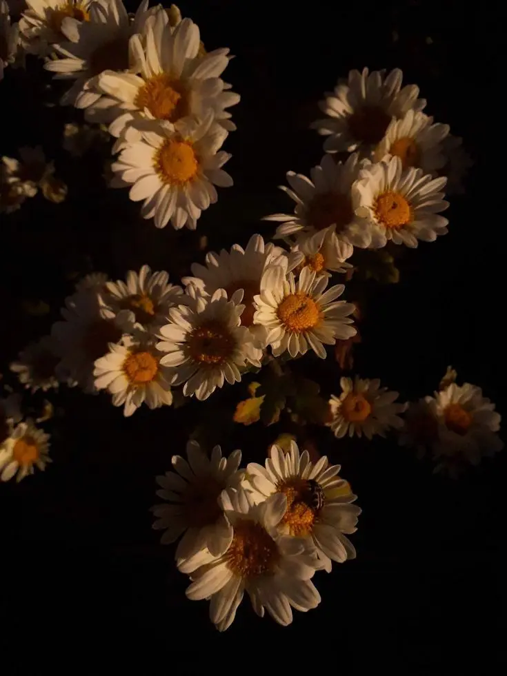 ActiveEasel2045의 사랑 또는 우정